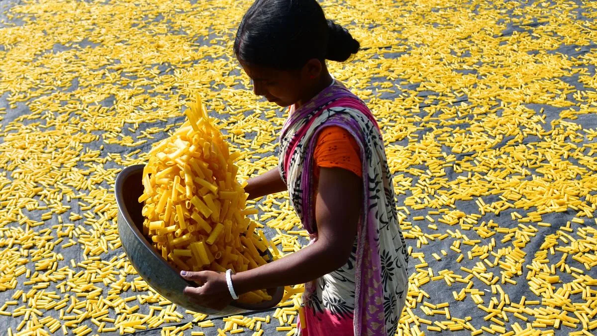 Analysing female labour of the North East States and Union territories