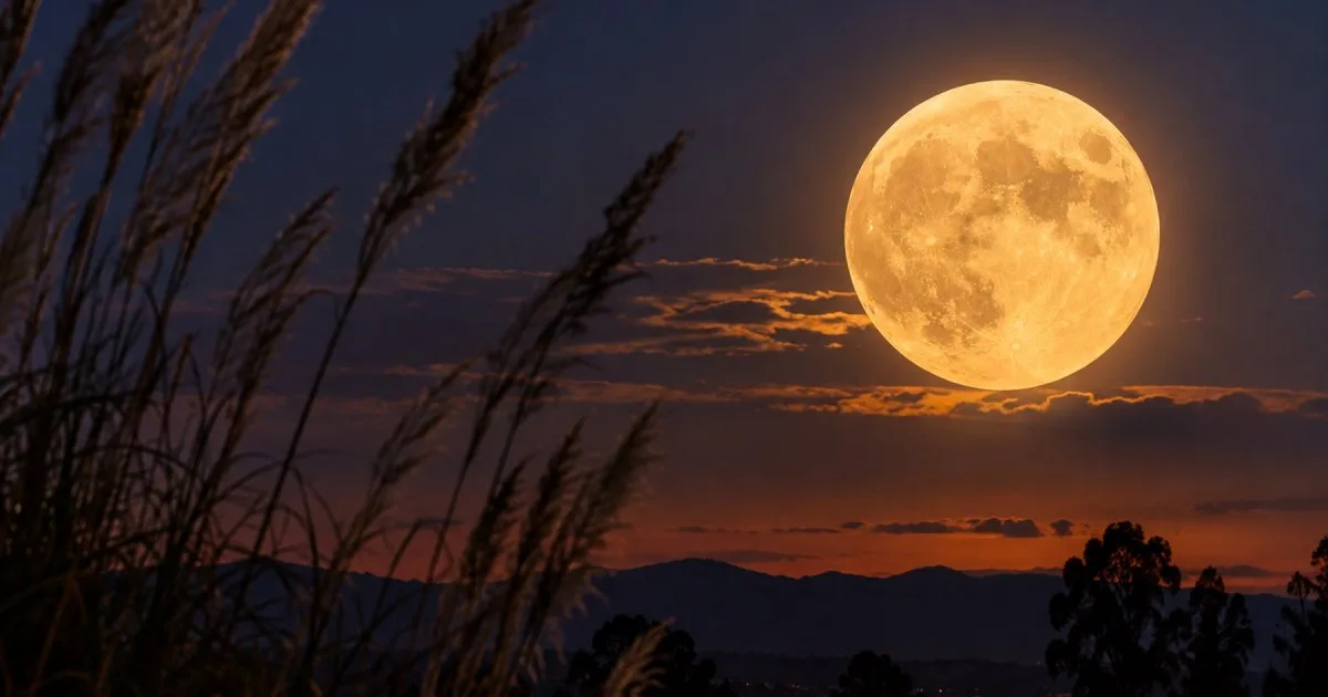Luna llena de la Cosecha 2026: a qué hora se verá el 26 de septiembre en Argentina