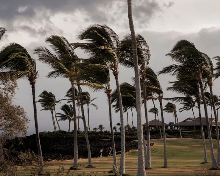 Lala weakens to tropical storm as it lashes Hawaii with heavy wind and rain