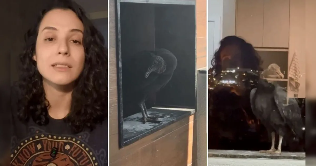 Moradora é impedida por lei de despejar urubu de sacada de apartamento no PR