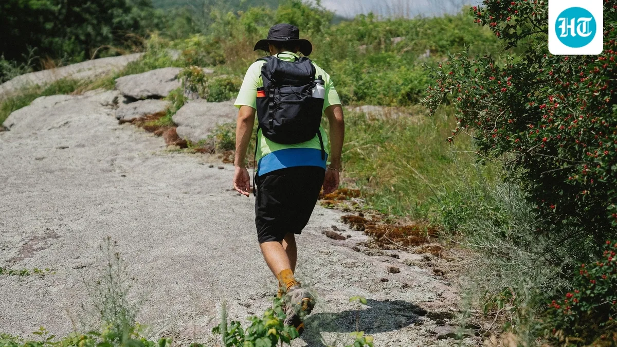 Who was Thomas Donnelly? University of Cincinnati, 21, student found dead after tragic hiking accident in West Virginia
