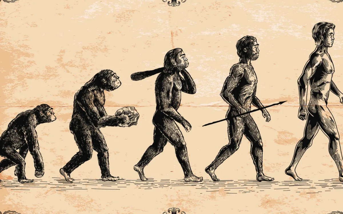 Les êtres humains continuent-ils vraiment d'évoluer ? Les scientifiques viennent de trouver un nouvel indice
