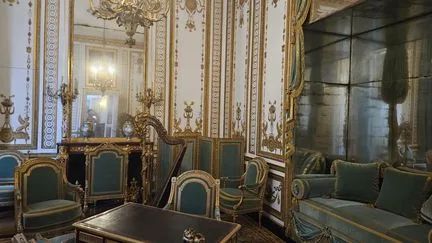 Milliers d'arbres morts, dorures qui "se décollent"... Comment le château de Versailles s'adapte au réchauffement climatique