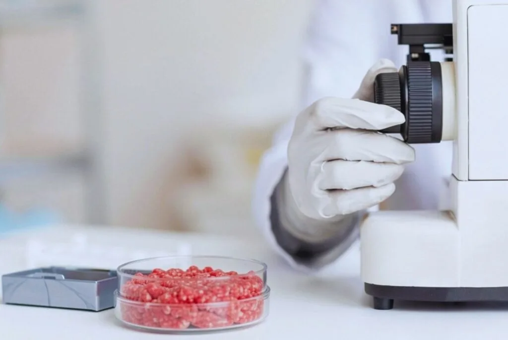 Una dosis bajo la lupa: la irradiación gamma logra reducir E. coli en carne picada sin afectar su aceptación