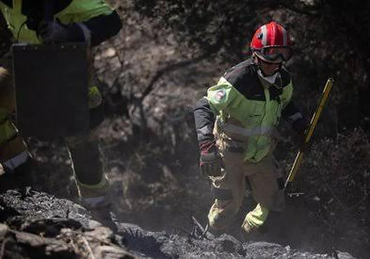Un amplio dispositivo continúa trabajando para controlar el incendio forestal de Niebla