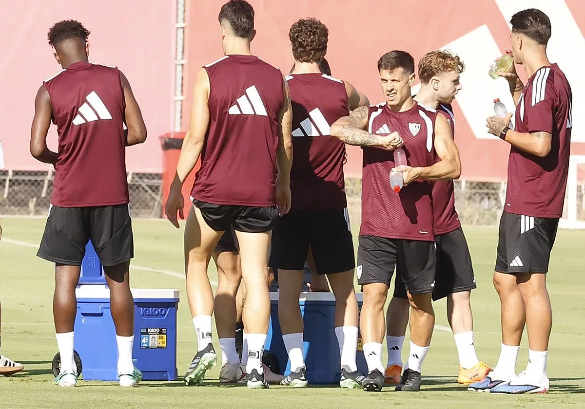 Alfon: «Quiero triunfar en el Sevilla, es para lo que vine»
