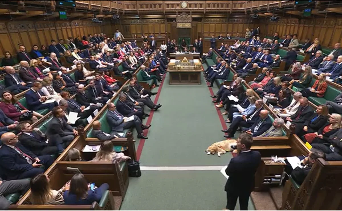 How did your London MP vote on the assisted dying bill? Vote shows how split capital's politicians were
