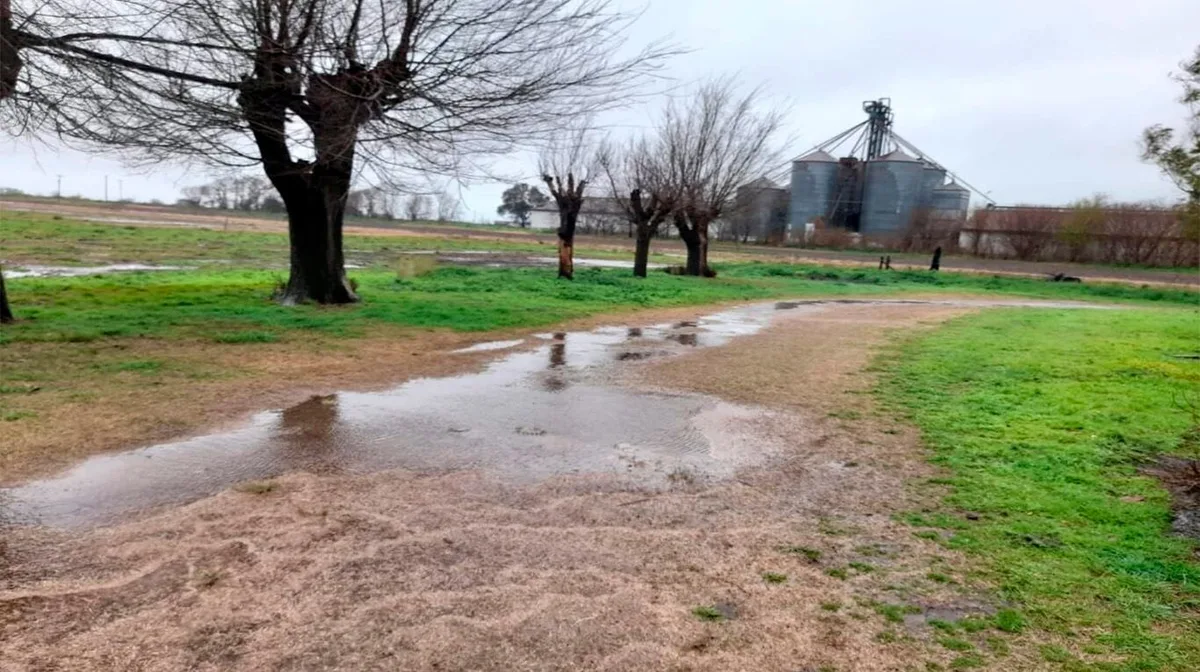Se esperan lluvias “moderadas a abundantes” sobre el extremo norte de la región agrícola