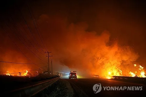 인니 11년 만에 최악의 산불…싱가포르·말레이도 대기질 악화
