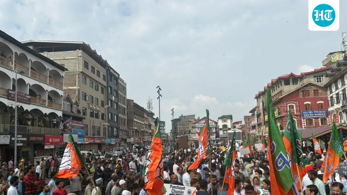 Security tightened in Srinagar as the BJP and Omar Abdullah's NC take to the streets. What's happening?