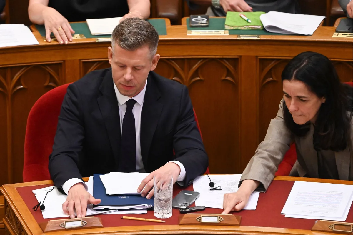 « Que le feu purificateur commence ! » : en Hongrie, la croisade de Peter Magyar contre la corruption
