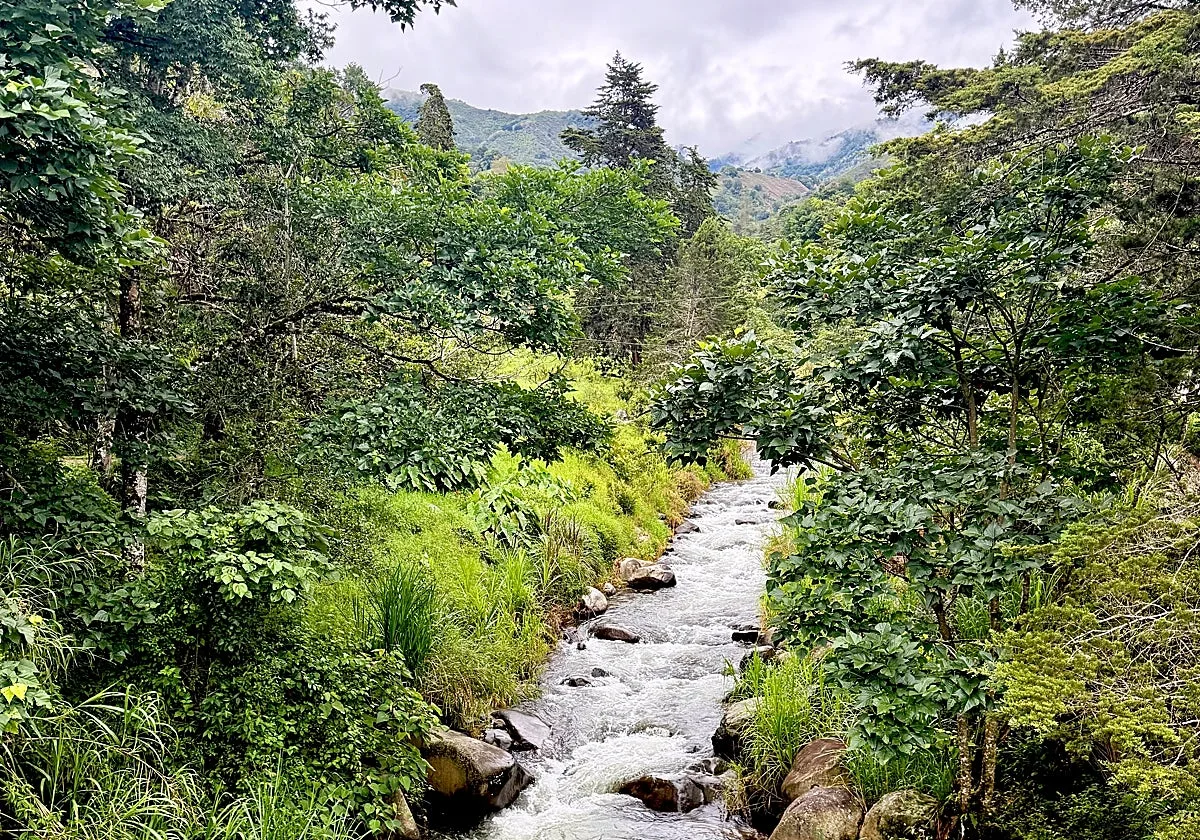 Un paseo entre cascadas, bosques y pequeñas comunidades en uno de los valles más especiales de Costa Rica