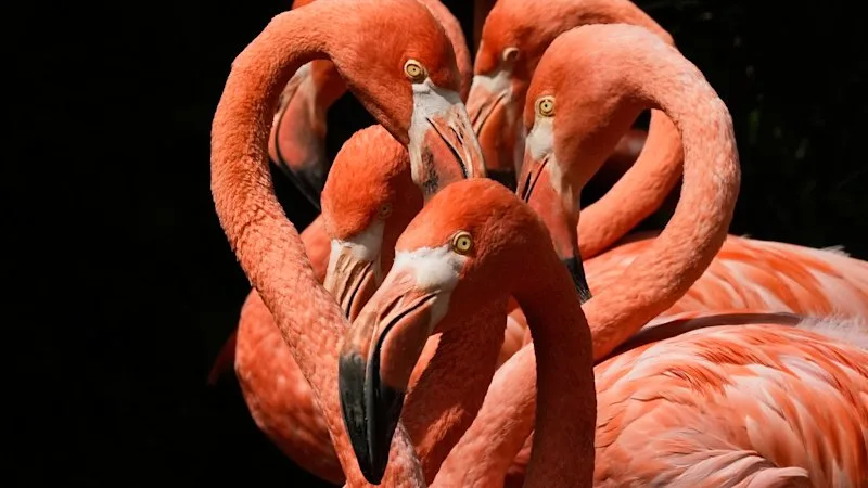 World in pictures, August 26, 2026