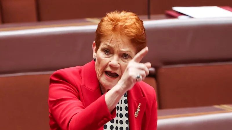 1000 One Nation voters said why they were voting for Hanson - and what it would take to switch