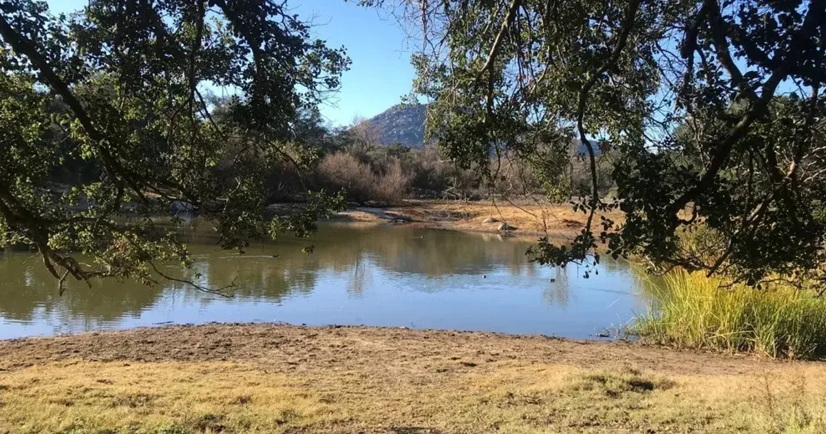En 1940, un actor de Hollywood compró tierras en California; seis décadas después 417 acres se convirtieron en hábitat de la rata canguro de Stephen, el camarón hada de San Diego y otras especies en peligro de extinción