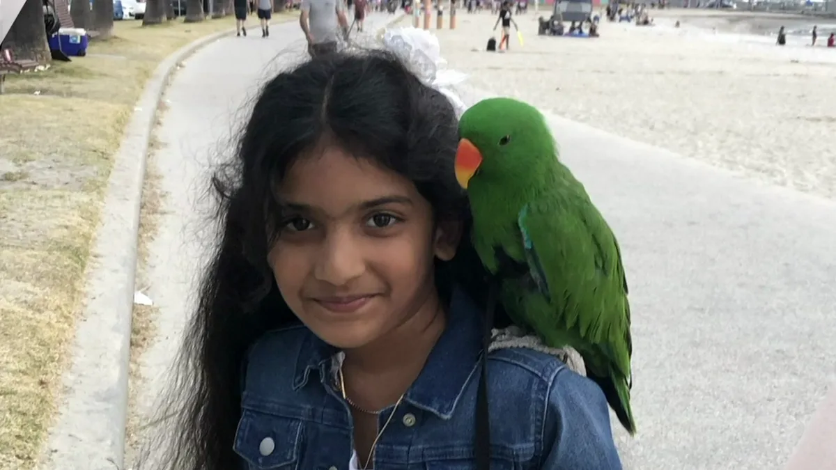 Amrita Lanka: Coroner finds eight-year-old girl’s death at Melbourne hospital was preventable