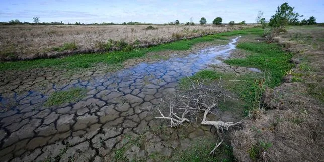 Une sécheresse des sols à un niveau historique en France, après des pluies « quasi absentes » en septembre