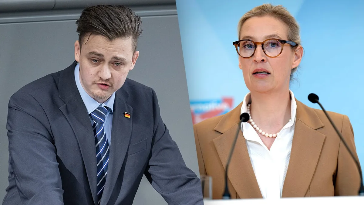 Brief an Weidel - AfDler kritisiert „Brandmauer“ innerhalb der AfD