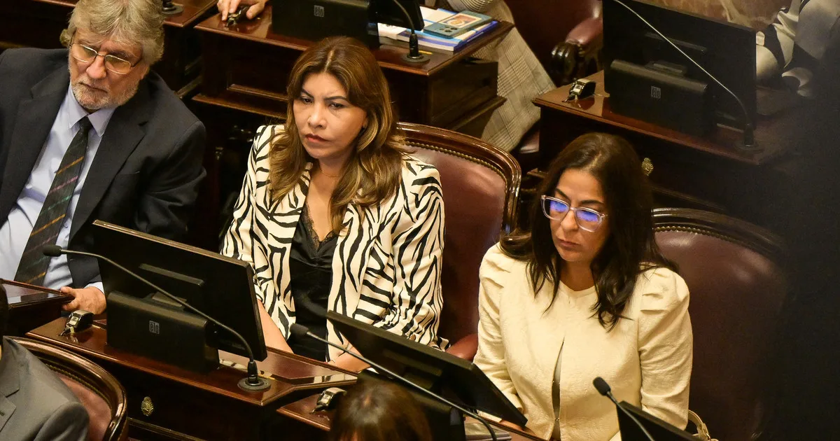 En medio de las críticas al proyecto oficial, el Senado debate la creación de una comisión por Malvinas