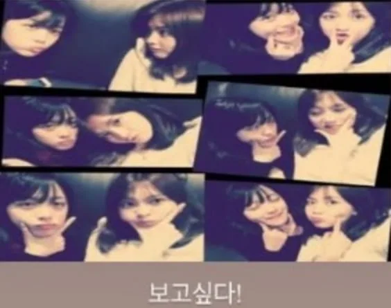 카라 강지영, 절친 故설리 7주기 챙겼다.."보고싶다" 먹먹 [핫피플]