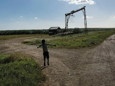 Watchdog calls for US import ban as forced labor persists in Dominican sugarcane fields