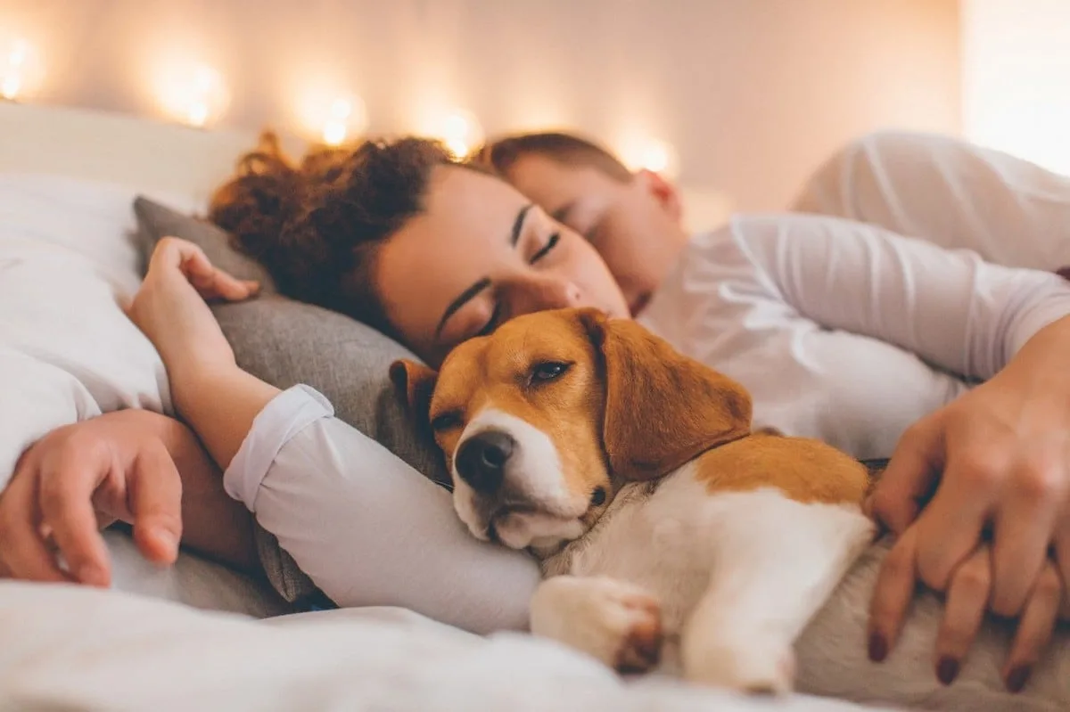 No son los perros: un estudio descubrió que los humanos suelen interrumpir primero el sueño de sus mascotas