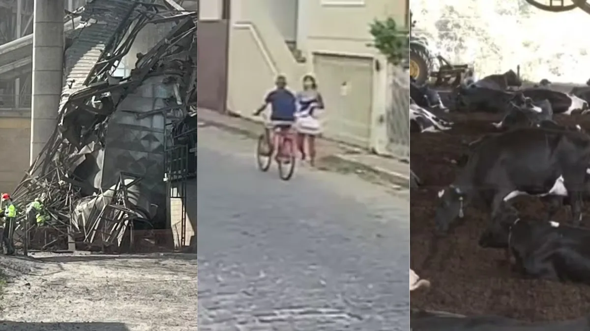 Você viu? Trabalhador morrem em mineradora, idoso esfaqueado em bicicleta e vacas deixam pasto para viver em ‘cama’