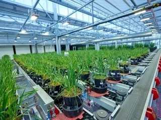 Plantes, animaux, sols… Le stress hydrique stimule l’innovation du groupe Roullier