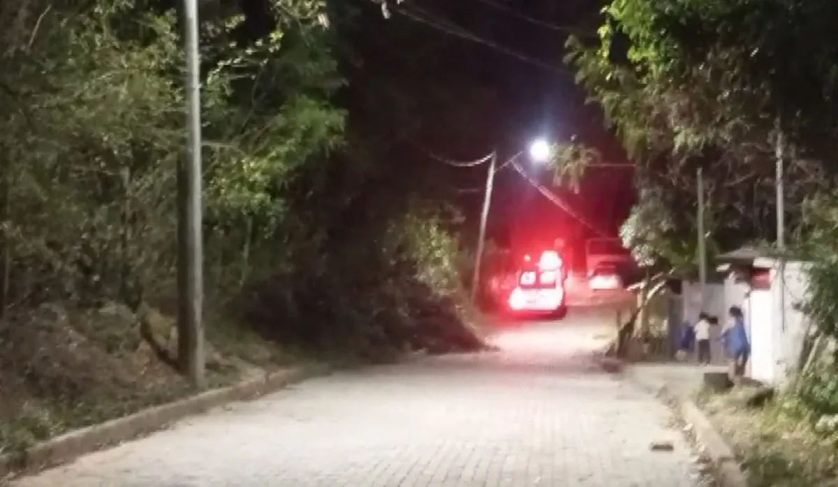 Parapentista é resgatado após ficar preso em árvore em Viana