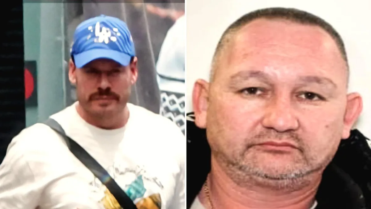 Toronto-area man sentenced to 68 months in prison for smuggling cocaine allegedly tied to Ryan Wedding