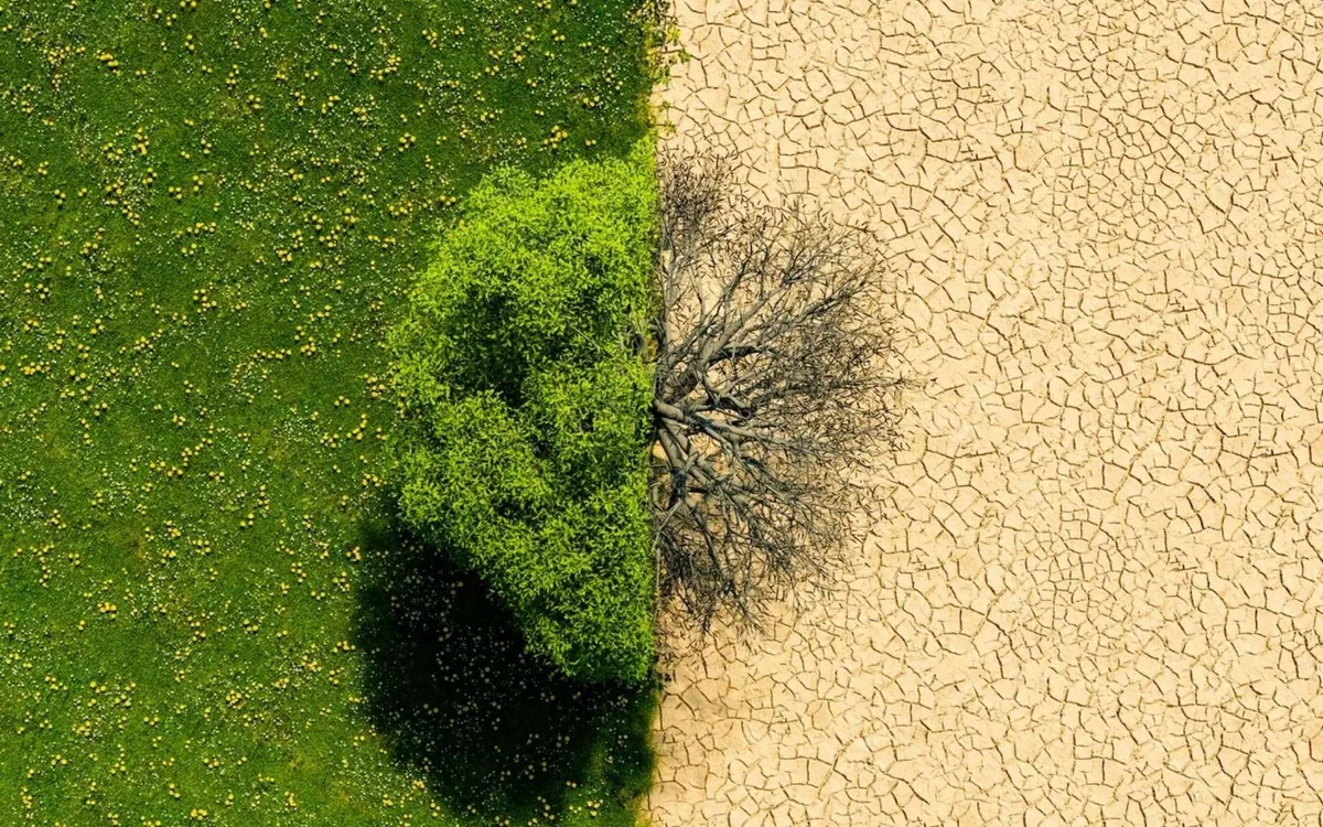 D'ici 2100, plus de 40 % des terres de la planète pourraient devenir arides : voici les régions les plus exposées
