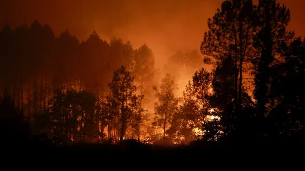 See the impact of the record heat and wildfires gripping much of Europe