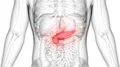 Una investigación concluye que la diabetes tipo 2 se manifiesta de manera diferente según el peso corporal