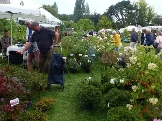 Folie des plantes, Fête de la rose, Couleurs d’automne… Les événements à ne pas manquer en septembre au jardin