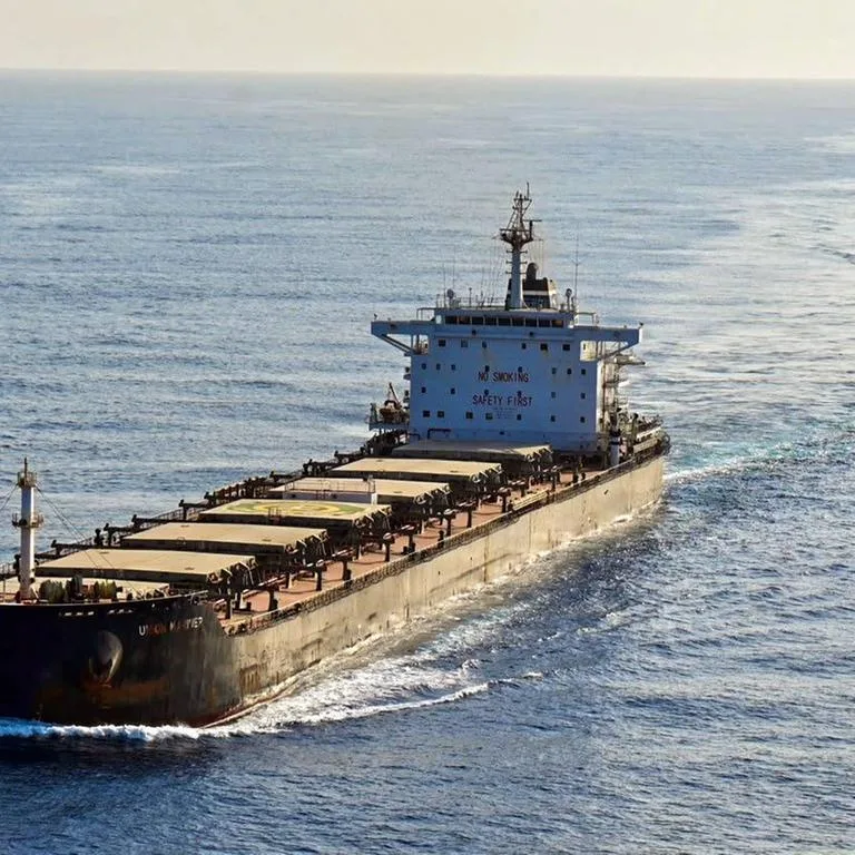 Wegen Huthi-Bedrohung - Italiens Marine sichert Frachtschiff bei Fahrt durch Meerenge Bab al-Mandab