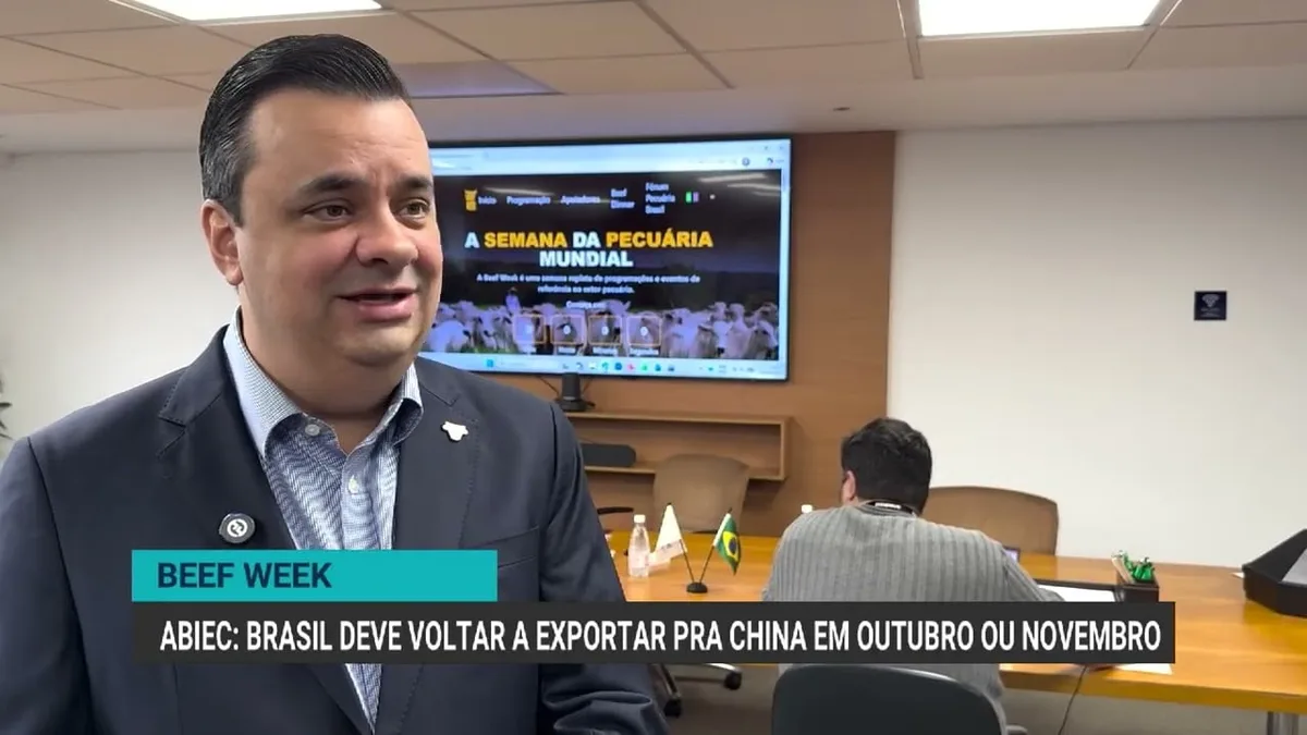Retomada das exportações de carne bovina à China deve ocorrer entre outubro e novembro, prevê Abiec