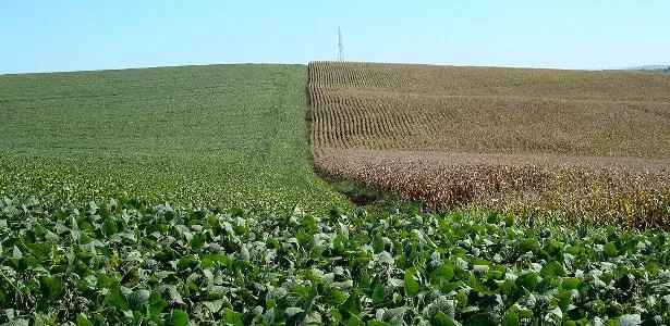 Clima extremo ameaça crédito e seguro no agronegócio