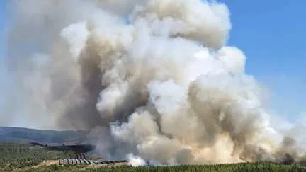 Incendie en Lozère : 150 hectares déjà parcourus, un hameau évacué, d’importants moyens aériens mobilisés