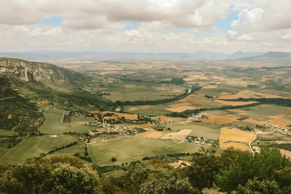Inside the Basque Production Boom: Who Owns the Growth?
