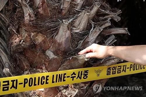 경찰, '야자수 목맴사' 의혹에 재현 실험까지…"가능하다" 결론