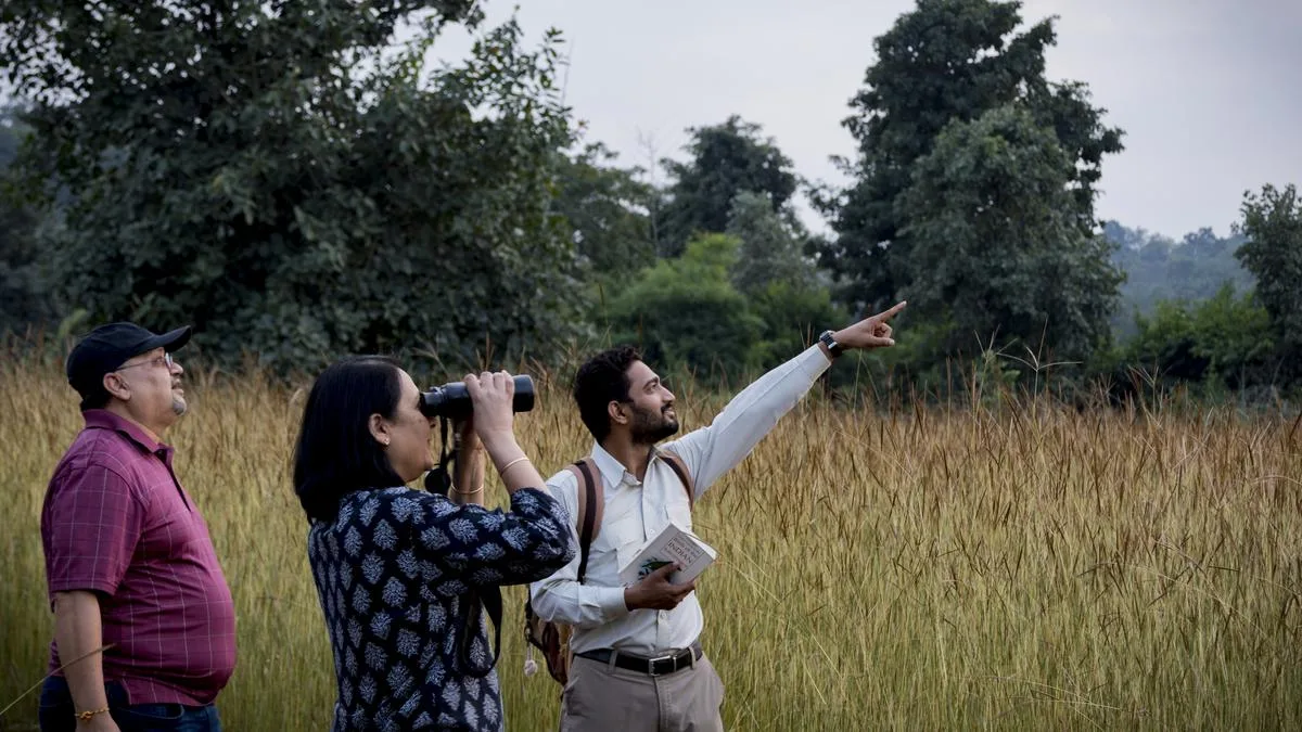 Inside Bandhavgarh’s forests: The evolving nature of tiger tourism