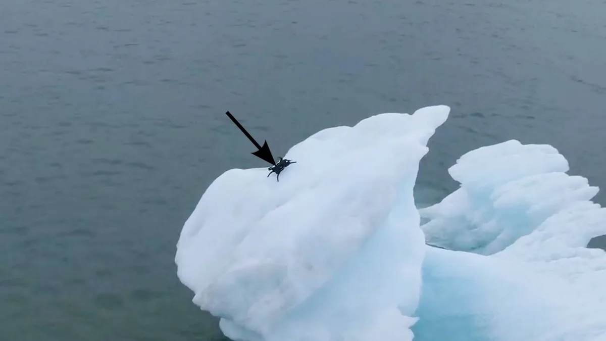 El dron que se esconde en las paredes de los glaciares para vigilar el Ártico