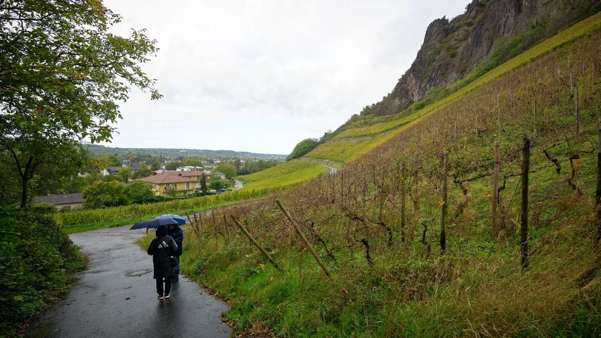 Vorhersage: Durchmischtes Wetter zum Start in die Woche