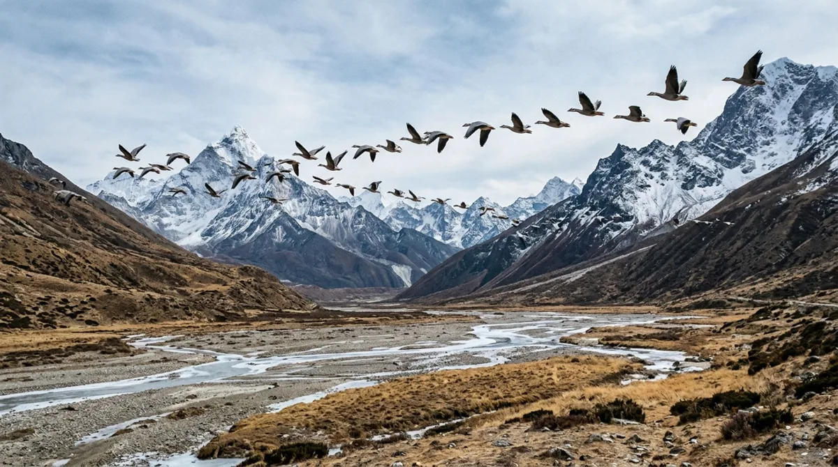 O animal que consegue sobreviver em altitudes extremas onde a quantidade de oxigênio é muito menor do que ao nível do mar