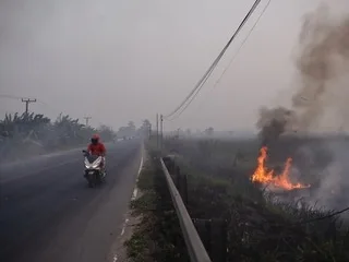 REPORTAGE. En Indonésie, les incendies dégagent un brouillard toxique depuis un mois