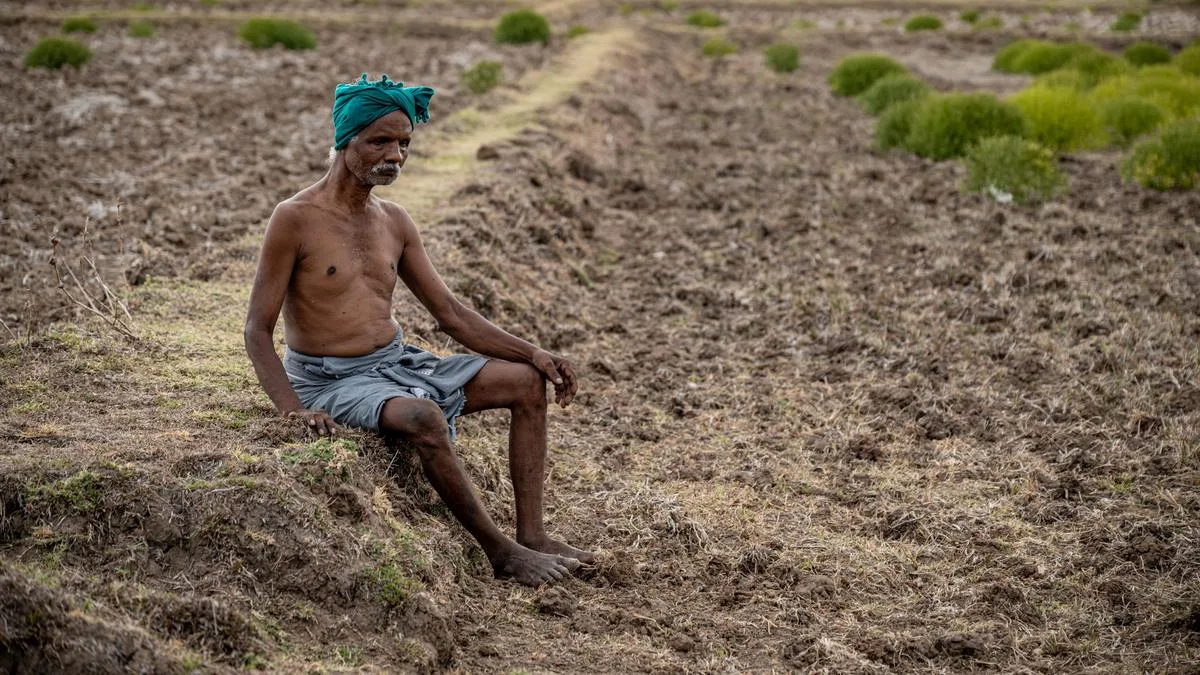 A dry spell along the Cauvery