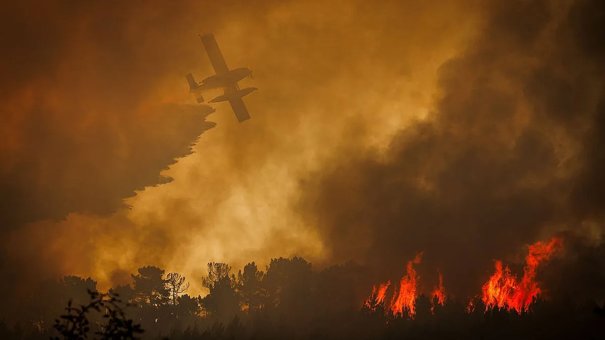 Quase 1250 operacionais nos incêndios de Torre de Moncorvo, Arouca e Santo Tirso