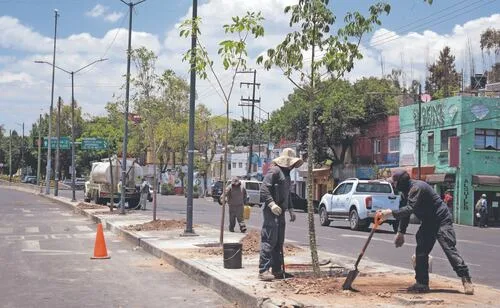 CDMX prevé plantar un millón de árboles en banquetas para 2030