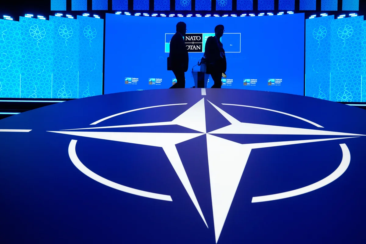MPs launch probe into security screening after arrest of alleged NATO spy