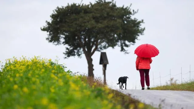 Wetter: So kühl und nass wird der letzte Tag der Woche im Südwesten